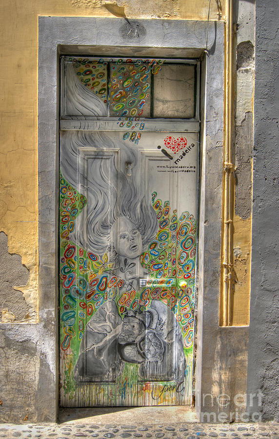 Funchal Door Art  11 Photograph by David Birchall