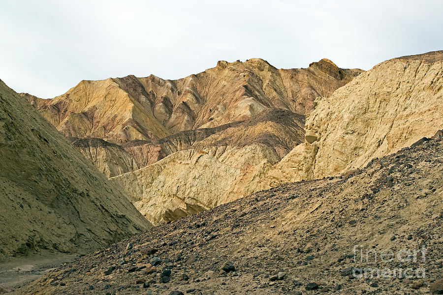 Golden Canyon Death Valley National Park Photograph by Fred Stearns