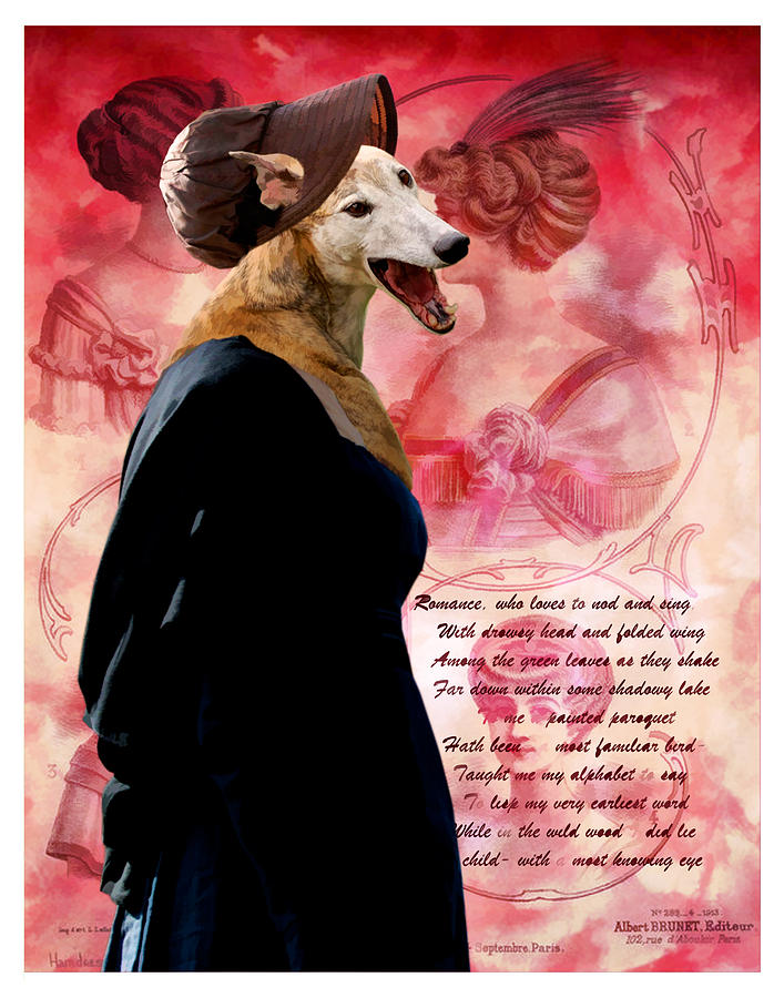Greyhound Art Canvas Print #6 Painting by Sandra Sij