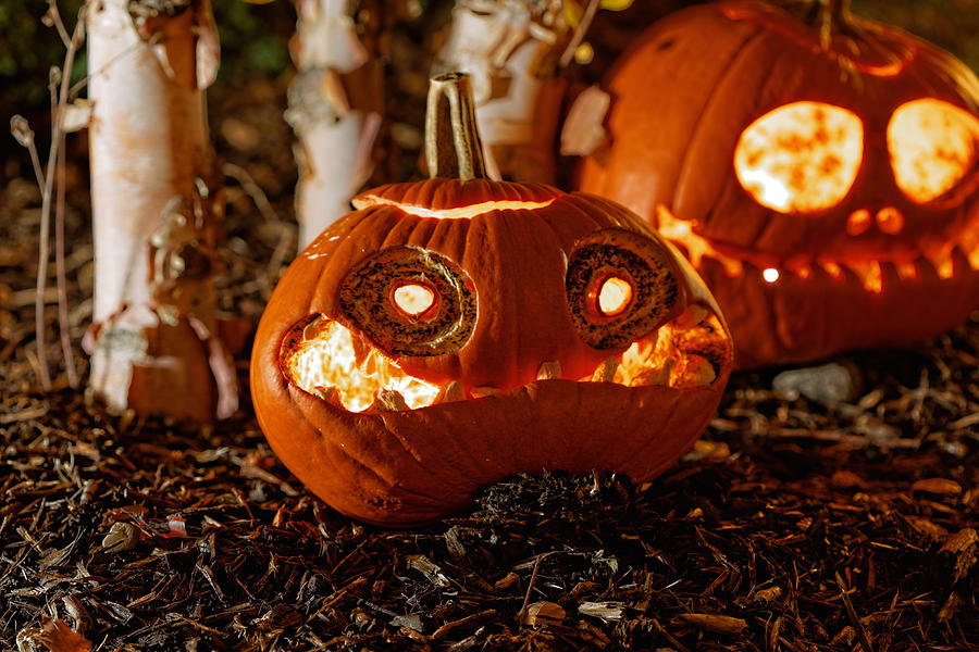 Fall Photograph - Halloween Pumpkin #6 by Peter Lakomy