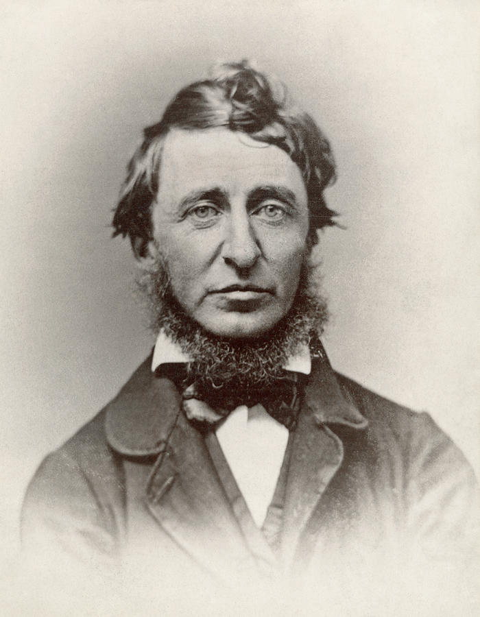 Henry David Thoreau #6 Photograph by Granger