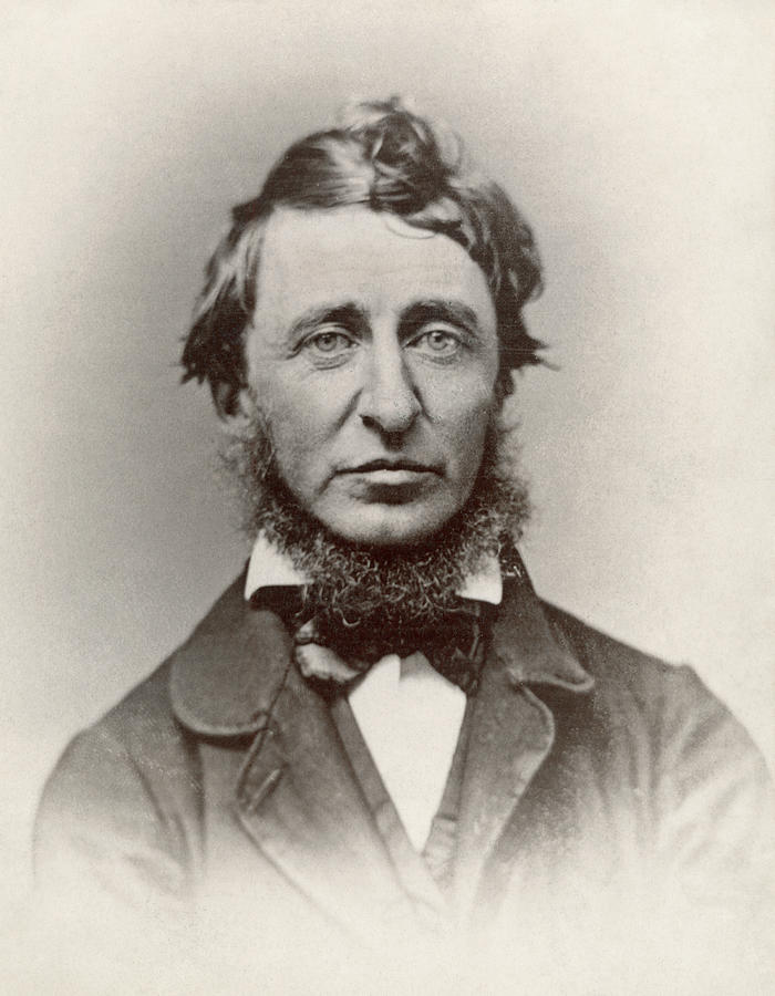 Henry David Thoreau Photograph by Granger