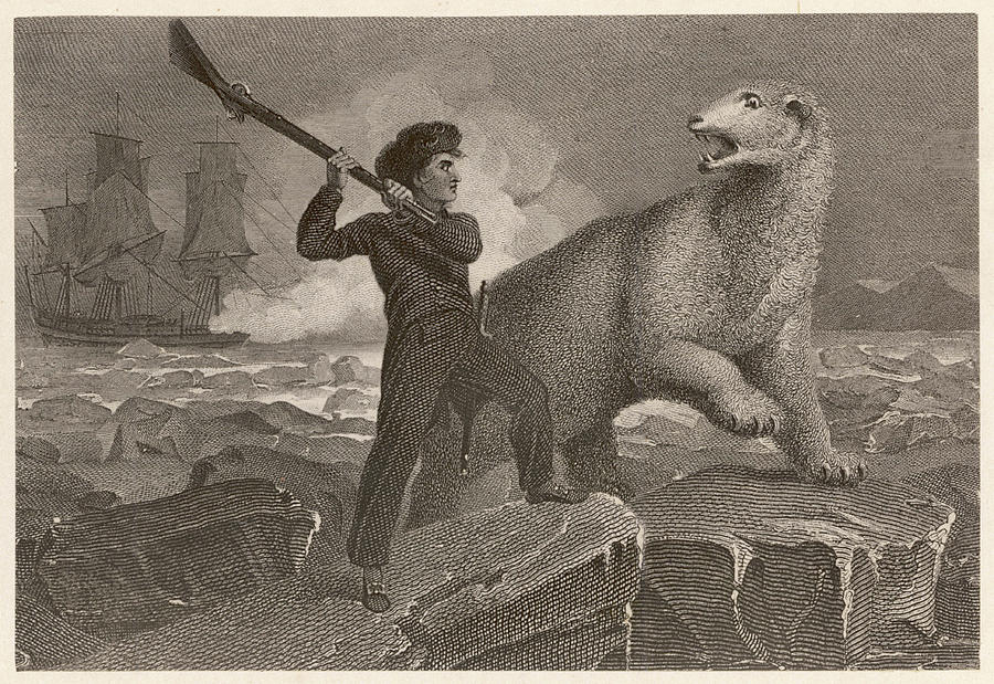 Bear Drawing - Horatio, Lord Nelson  English Naval #6 by Mary Evans Picture Library