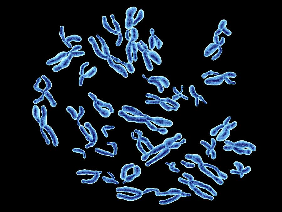 Хромосомные болезни картинки для презентации
