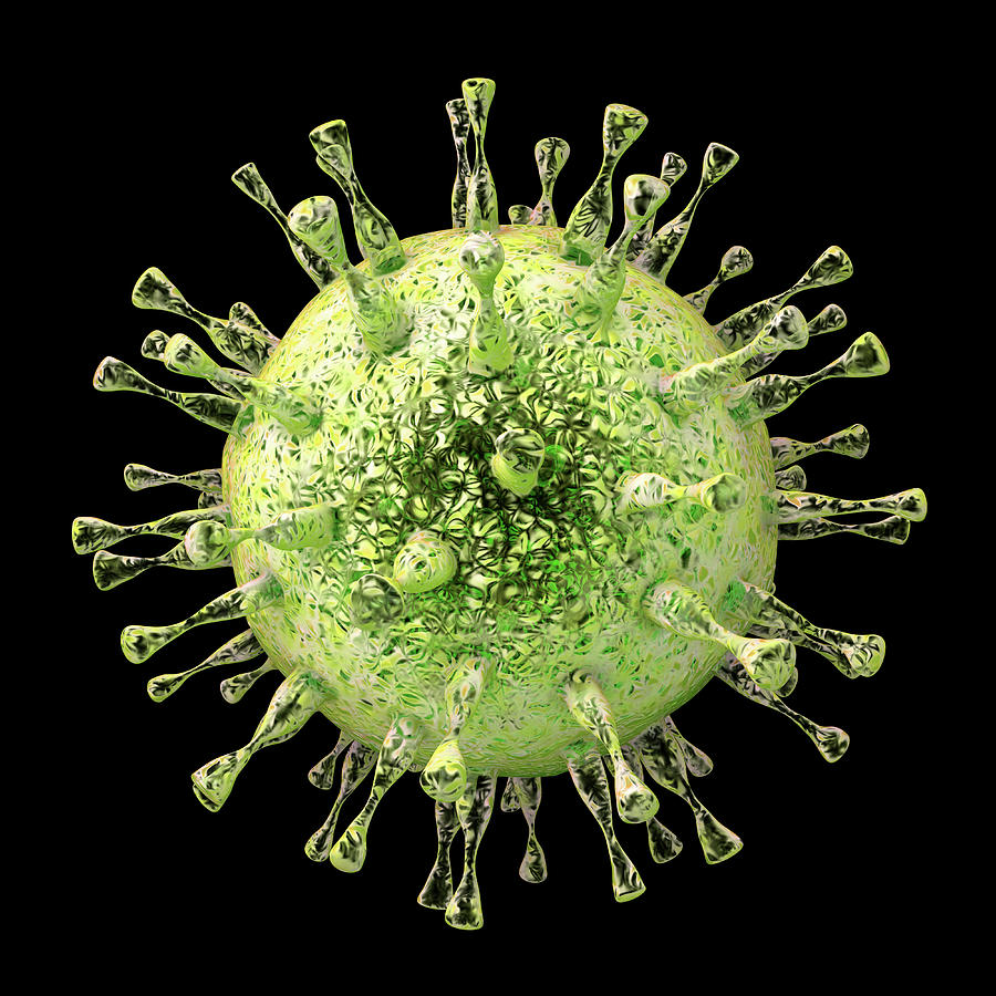 Герпесвирусы цитомегаловирус