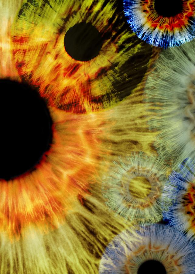 Iris Photograph - Human eyes #6 by Science Photo Library