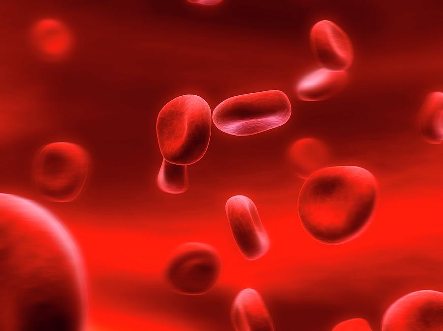 Illustration Photograph - Human Red Blood Cells #6 by Sebastian Kaulitzki