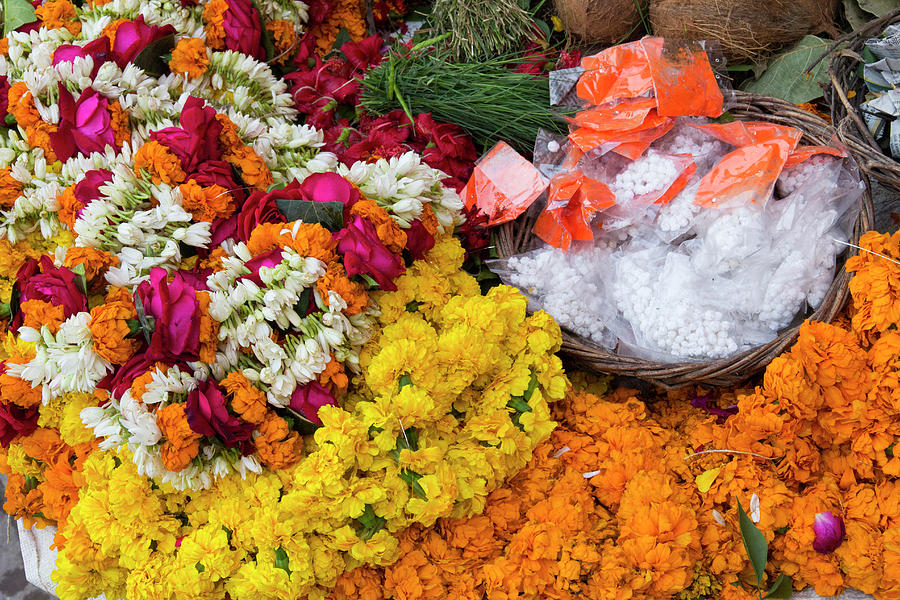 India, Uttar Pradesh, Varanasi Photograph by Emily Wilson - Fine Art ...