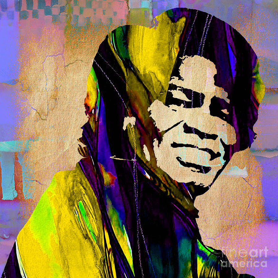 James Brown Mixed Media - James Brown Collection #6 by Marvin Blaine