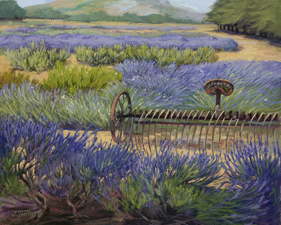 Edge of the Lavender Field Painting by Jane Thorpe