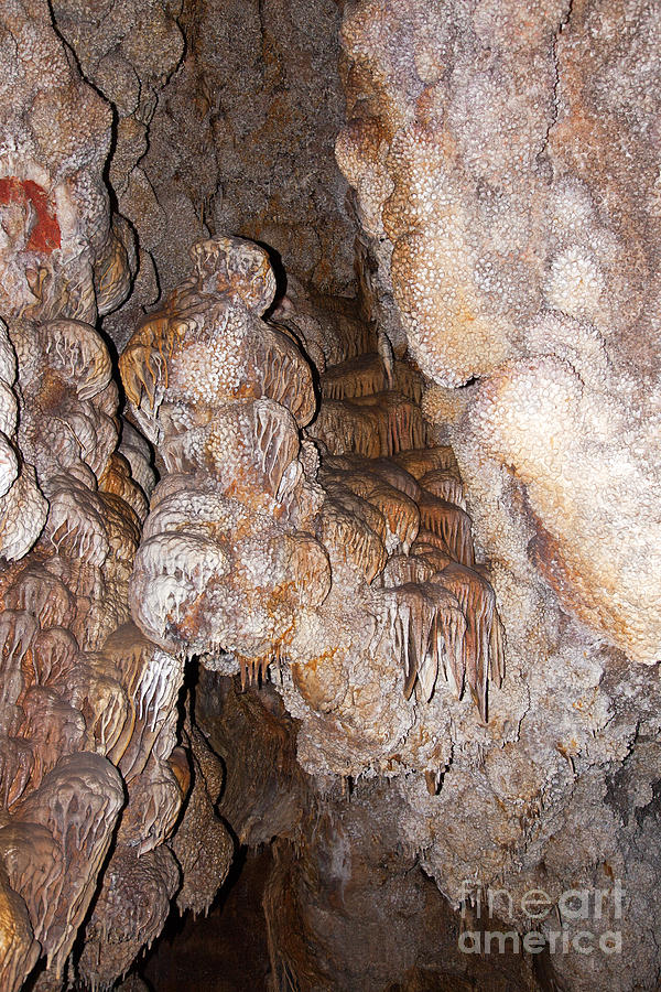 Jewel Cave Jewel Cave National Monument #6 Photograph by Fred Stearns