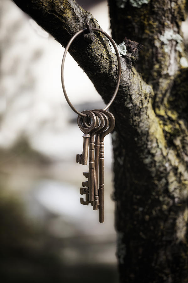 Keys #6 Photograph by Joana Kruse