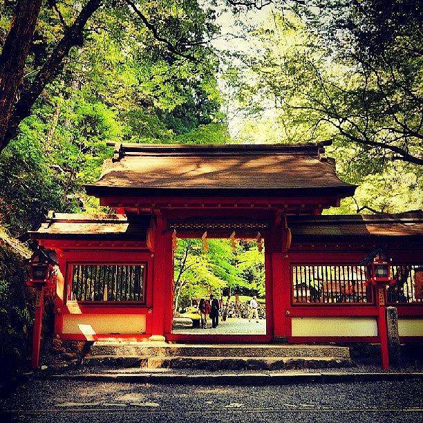 Beautiful Photograph - Kifune Shrine  貴船神社 #6 by My Senx