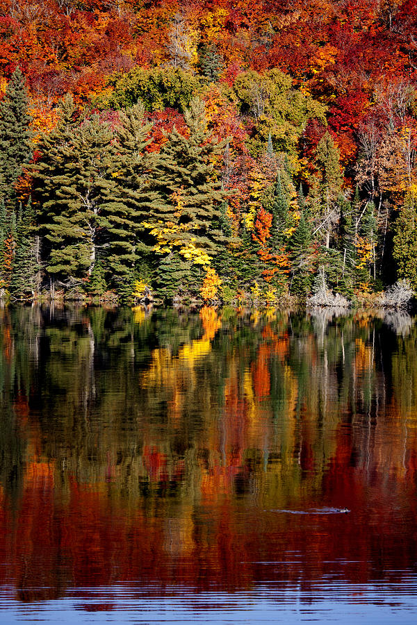 Lake in Autumn #6 Photograph by Mark Duffy