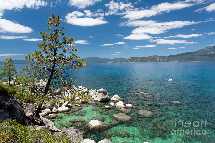 Summer Photograph - Lake Tahoe #6 by Mariusz Blach
