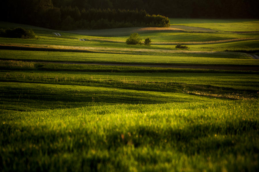 Landscape Photograph - Landscape by Anna Gora Landscape Photograph - Landscape by Anna Gora