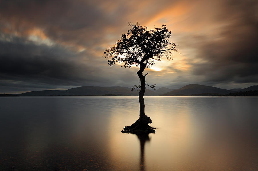 Tree Photograph - Loch Lomond Sunset #1 by Grant Glendinning