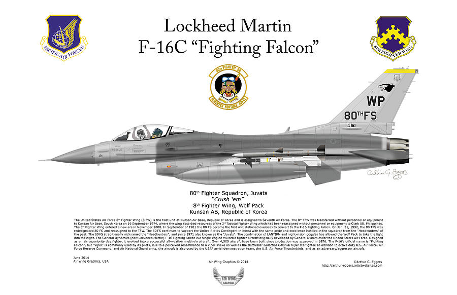 Lockheed Martin F-16C Fighting Falcon #5 Digital Art by Arthur Eggers