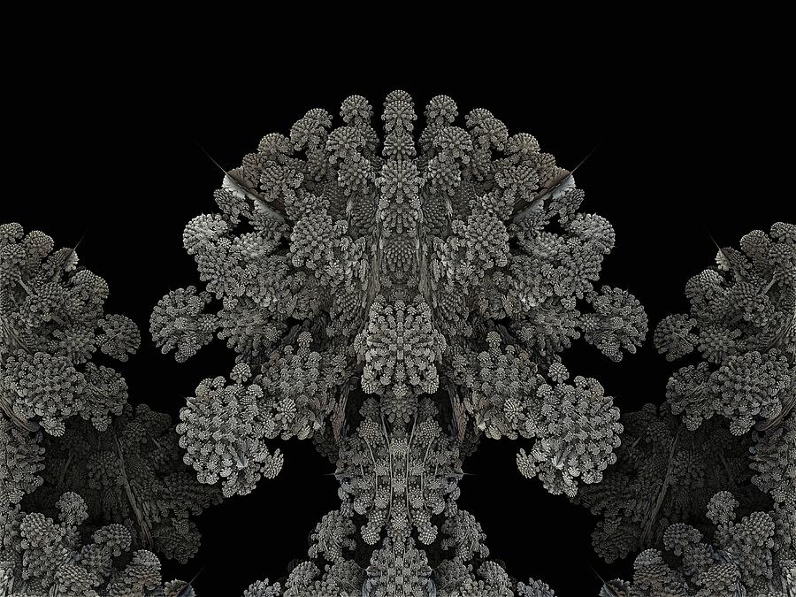 Mandelbulb Fractal Photograph by Laguna Design/science Photo Library