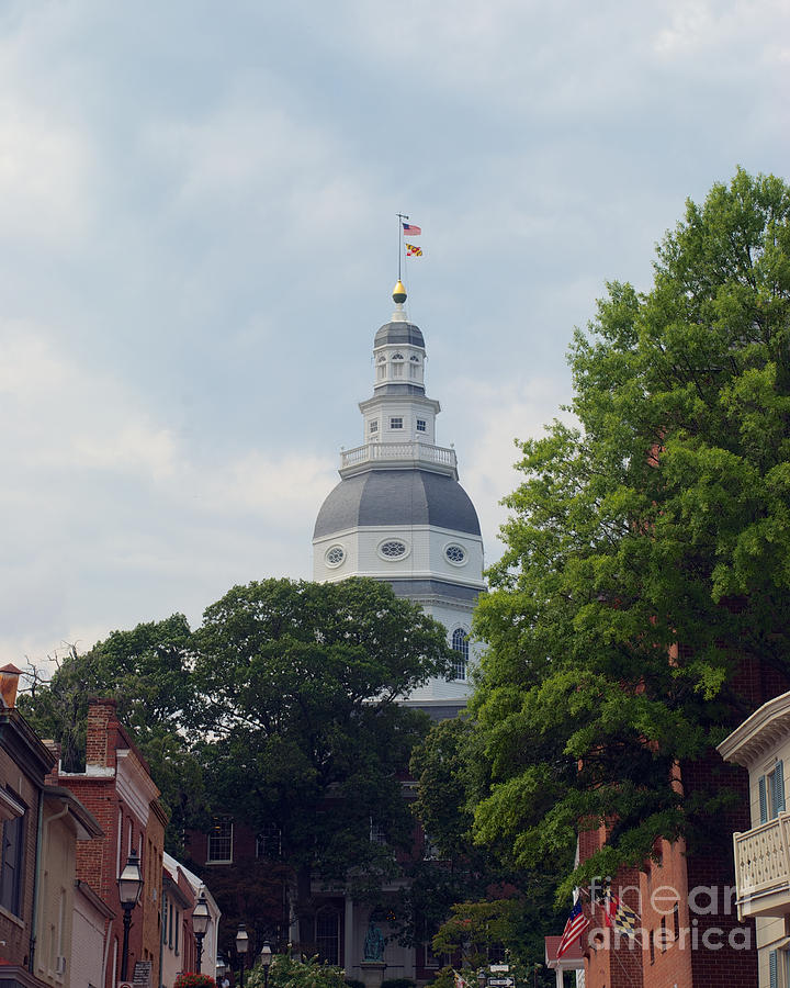 Maryland State House Dome #6 Photograph by Mark Dodd