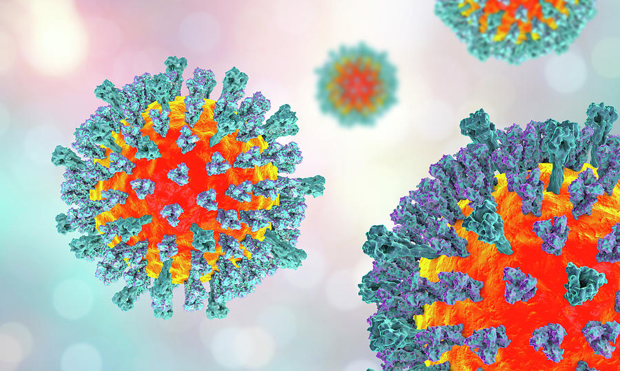 Measles Virus Photograph By Kateryna Kon Science Photo Library