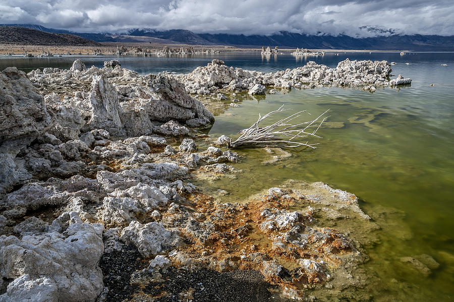 Mountain Photograph - Mono Lake #6 by Cat Connor