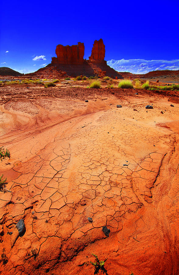 Monument Valley Utah USA #8 Photograph by Richard Wiggins