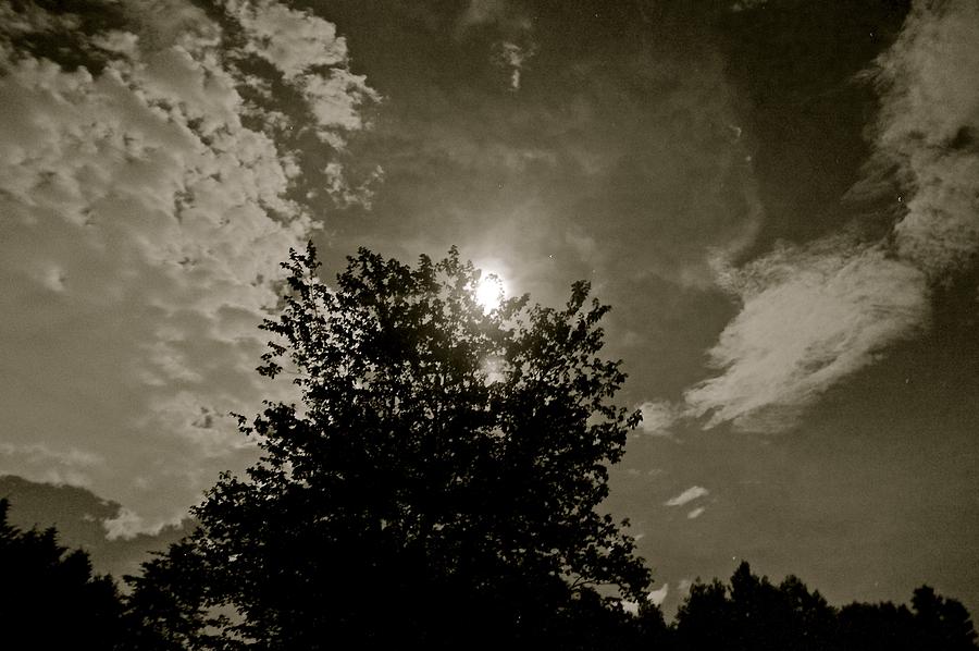 Moon Photograph