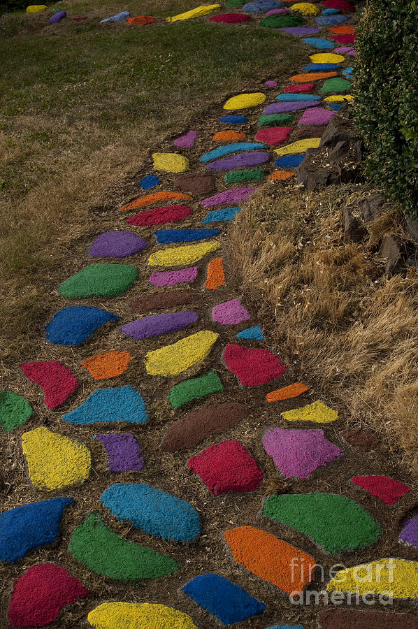 Multicolored rock path #6 Photograph by Jim Corwin
