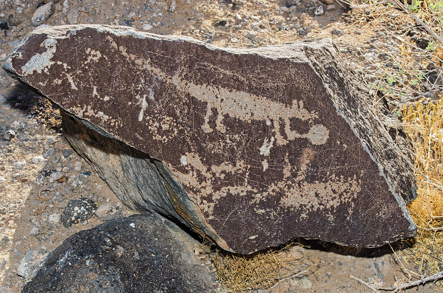 National Parks Photograph - Native American Petroglyph #6 by Millard H. Sharp