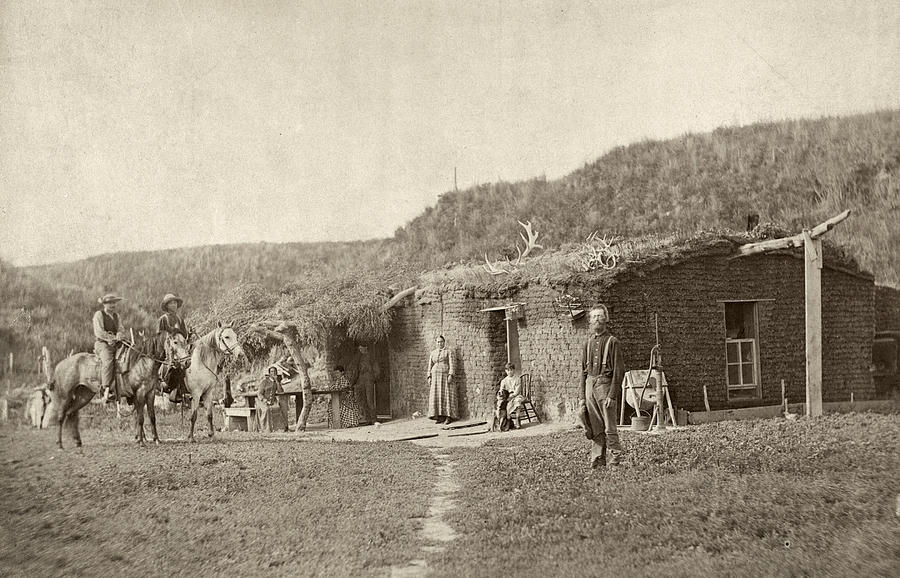 Nebraska Settlers, C1886 Photograph By Granger - Fine Art America