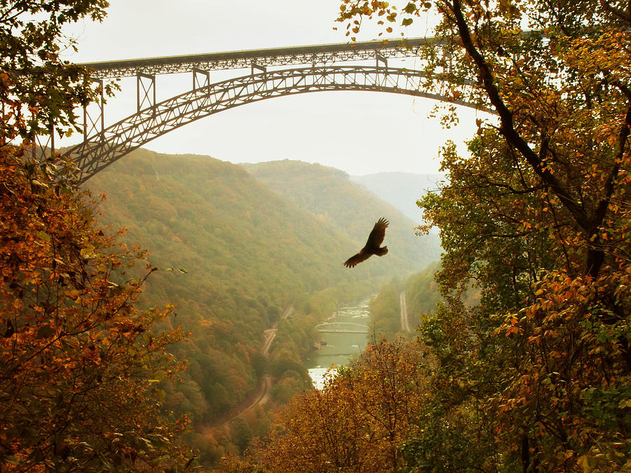 Fall Photograph - New River Gorge Bridge #3 by Mary Almond