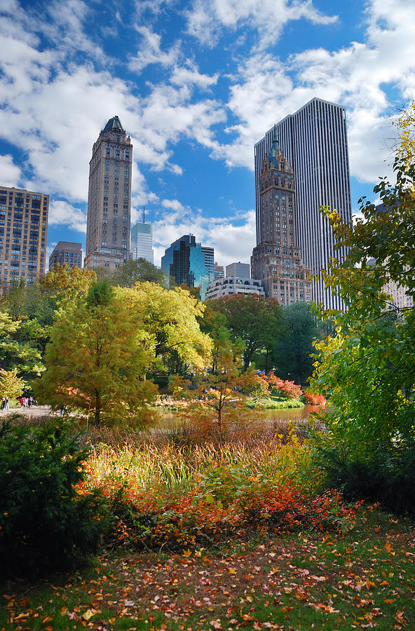 New York City Manhattan Central Park #6 Photograph by Songquan Deng