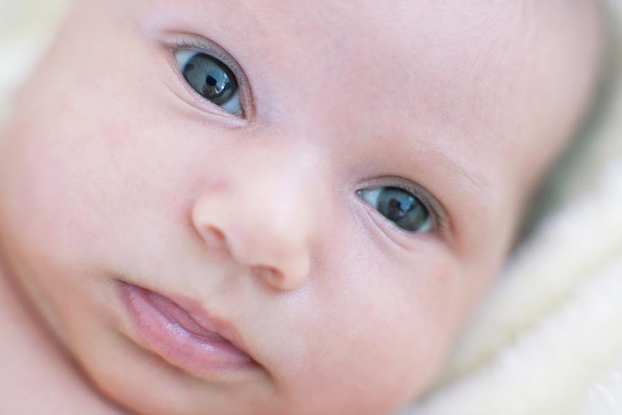 Newborn Baby Girl Photograph by Ian Hooton/science Photo Library - Fine ...