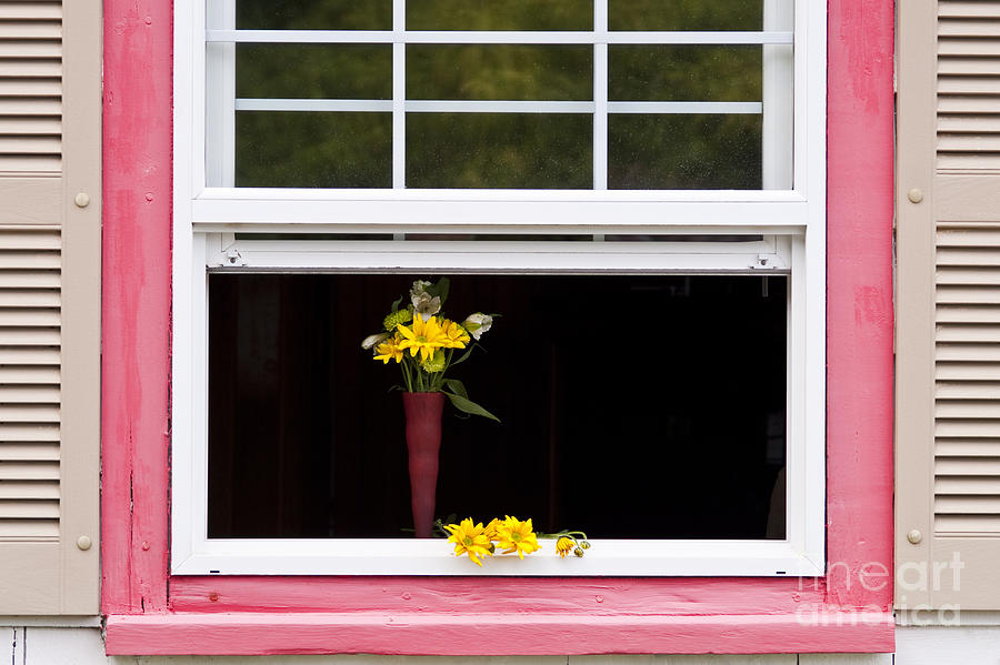 Open window with yellow flower in vase #7 Photograph by Jim Corwin