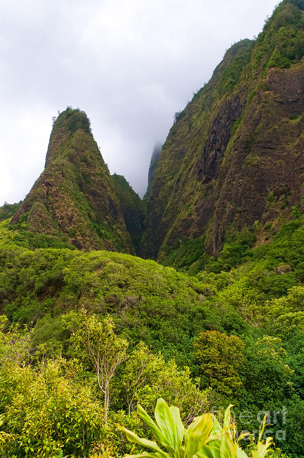 Overview of the Iao Needle State Park Maui Hawaii USA #6 Photograph by Don Landwehrle