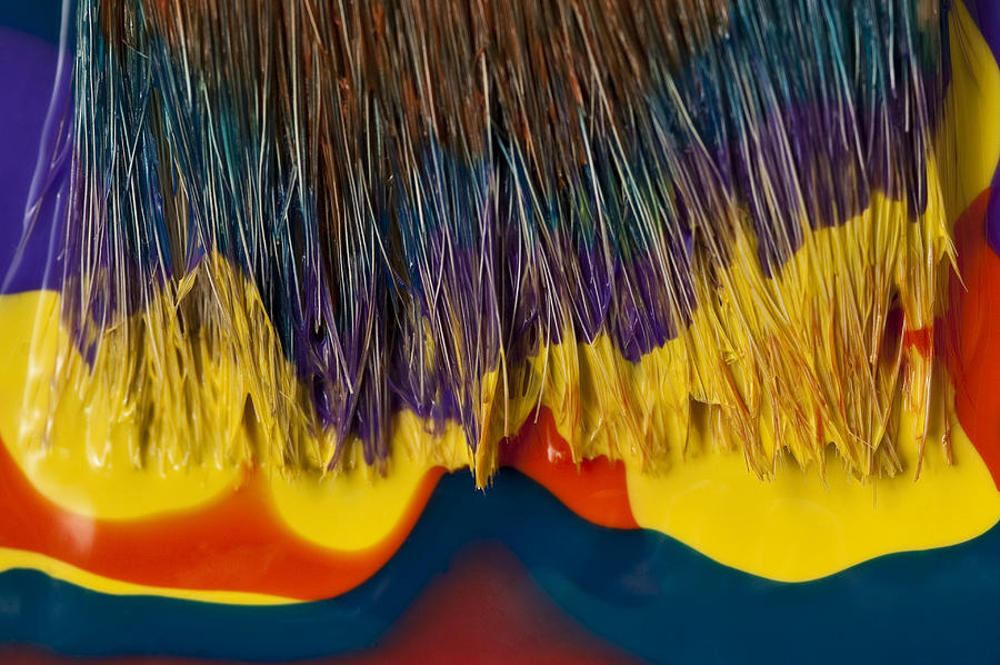 Paint brushes camouflaged #7 Photograph by Jim Corwin