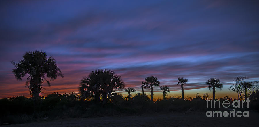 Palmetto Sunset Photograph