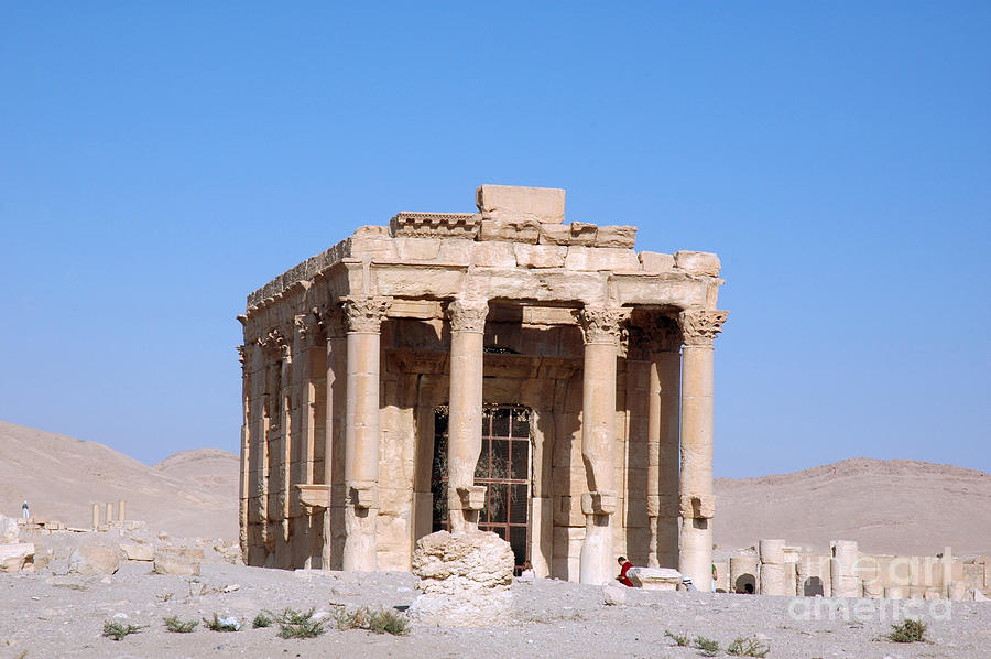 Palmyra, Syria #6 Photograph by Catherine Ursillo