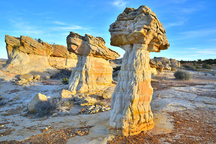 Pillars of Stone #11 Photograph by Ray Mathis