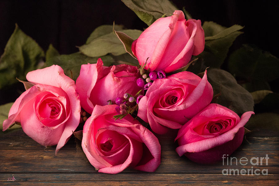 6 Pink Roses Photograph by Sandra Clark