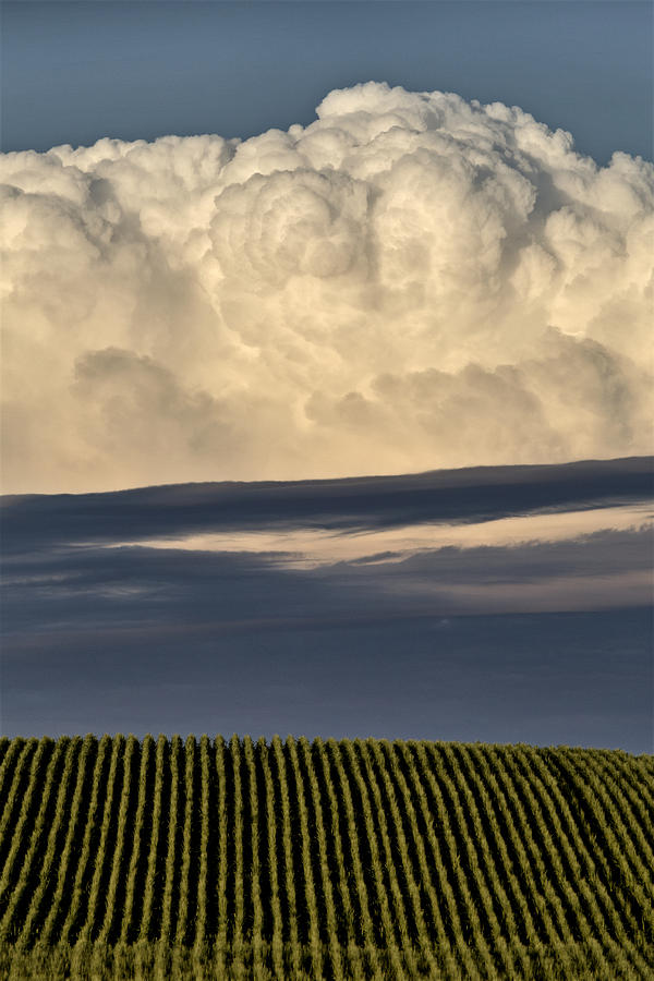 Prairie Storm Clouds #6 Photograph by Mark Duffy