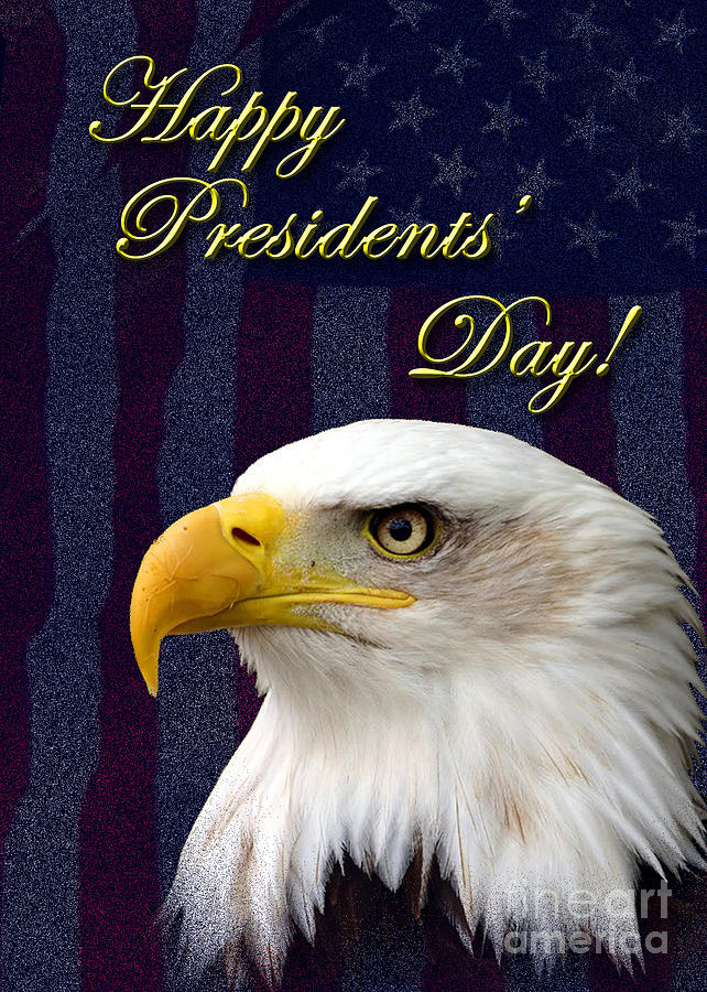 Eagle Photograph - Presidents Day Eagle #6 by Jeanette K