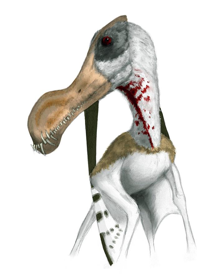 Pterosaur #6 Photograph by Mark P. Witton/science Photo Library