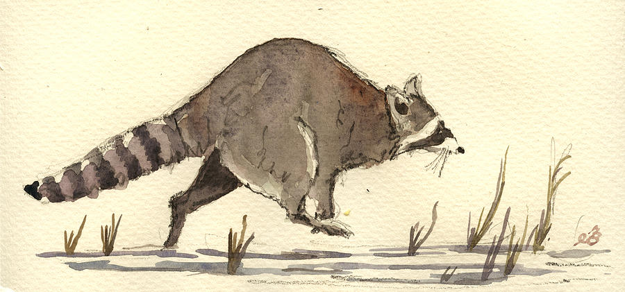 Wildlife Painting - Raccoon  #6 by Juan  Bosco