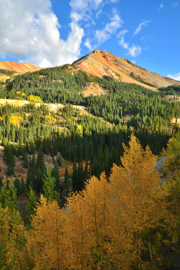 Red Mountain Pass Fall Colors #27 Photograph by Ray Mathis