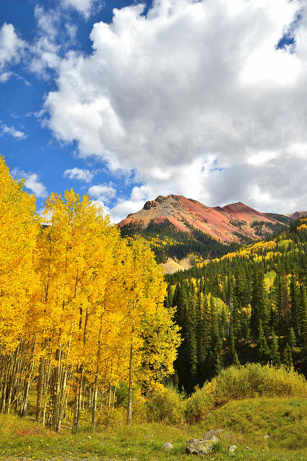 Red Mountain Pass Fall #7 Photograph by Ray Mathis