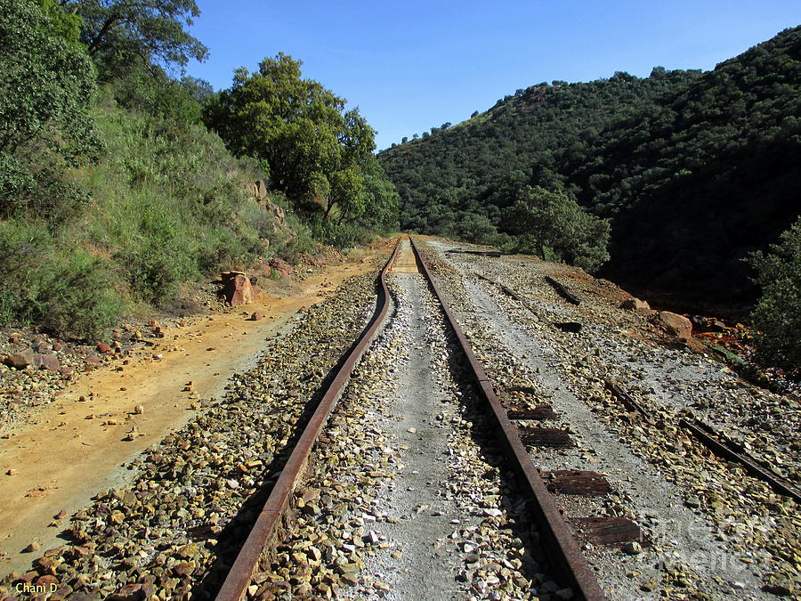 Rio Tinto Abandoned Railway #8 Photograph by Chani Demuijlder
