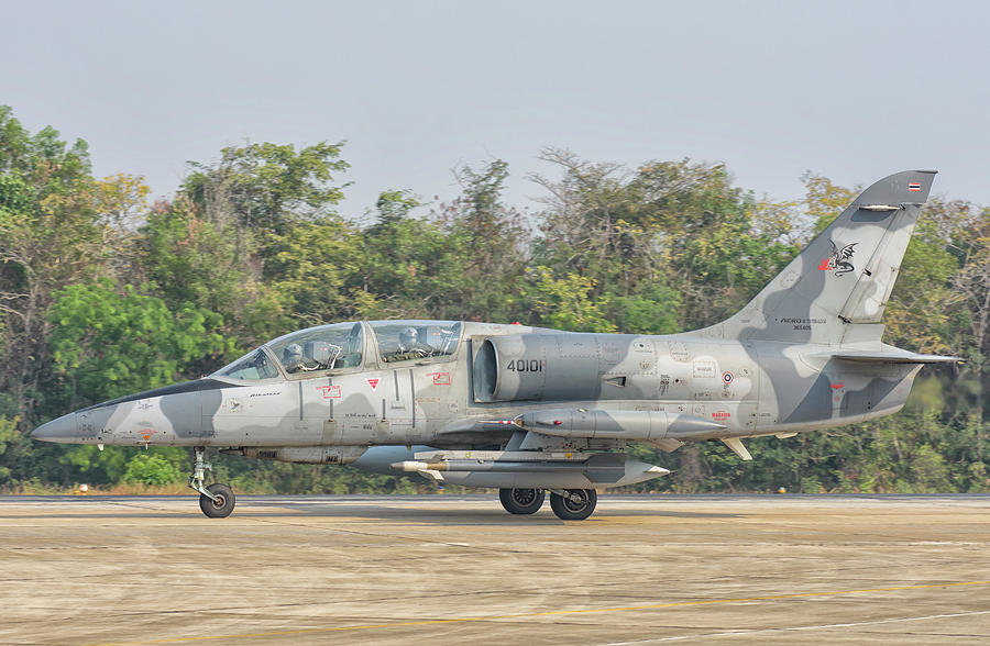 Royal Thai Air Force L-39 Albatros #6 Photograph by Giovanni Colla - Pixels