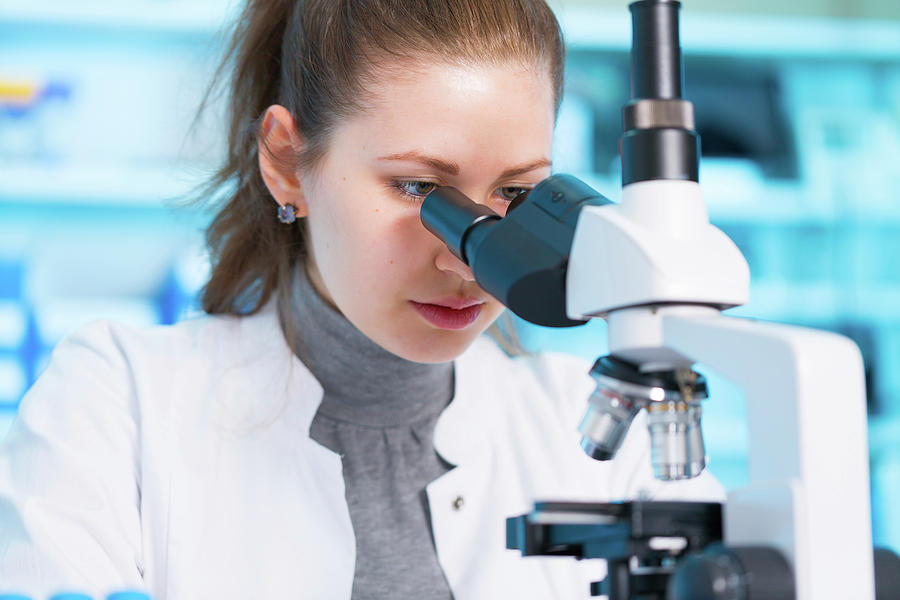 Scientist Using Microscope Photograph by Wladimir Bulgar/science Photo ...